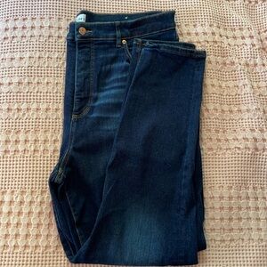 Loft high rise curvy fit jeggings size 34